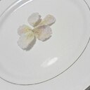 薔薇のお砂糖漬け　おやつ